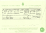 Stevenson, Thomas - Watson, Selina - 1881 - Marriage Certificate