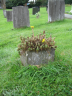 Stevenson, Wilfred Arthur - 1882 - Cartlidge, Mary - 1889 - Grave Photograph 02
