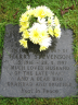 Stevenson, Harry - 1916 - Grave Photo